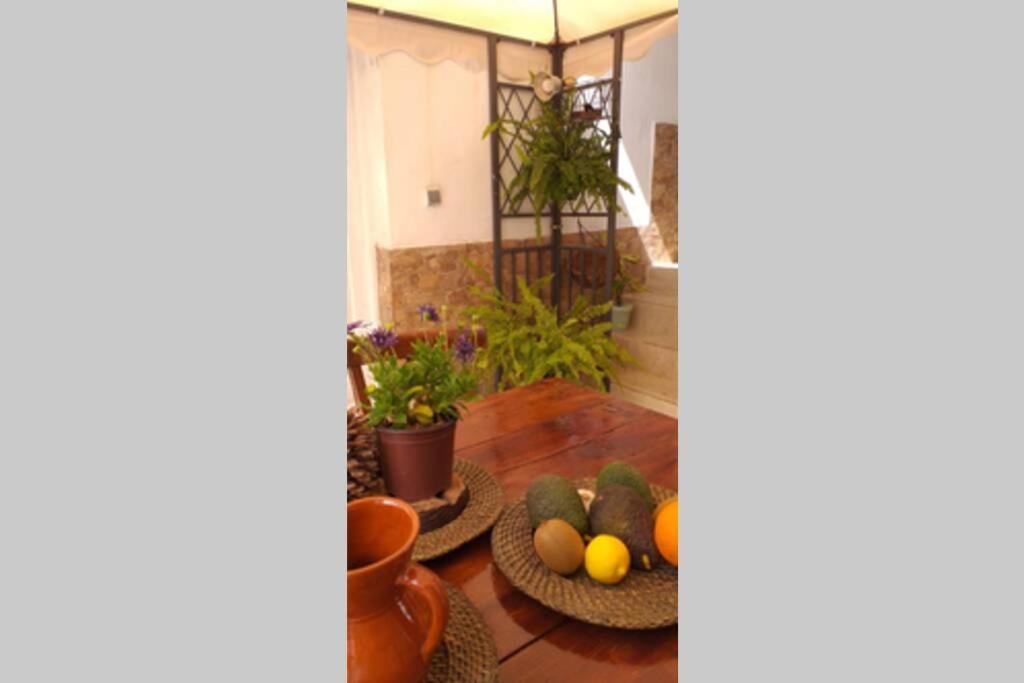 La Vega R. Appartement Vega de Rio de Palmas Buitenkant foto